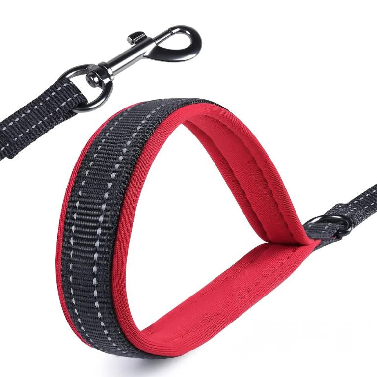 Dog Leashes Outdoor Travel Dog Training Chain Heavy Duty Double Handle Lead for Greater Control Safety Training Dual Handle