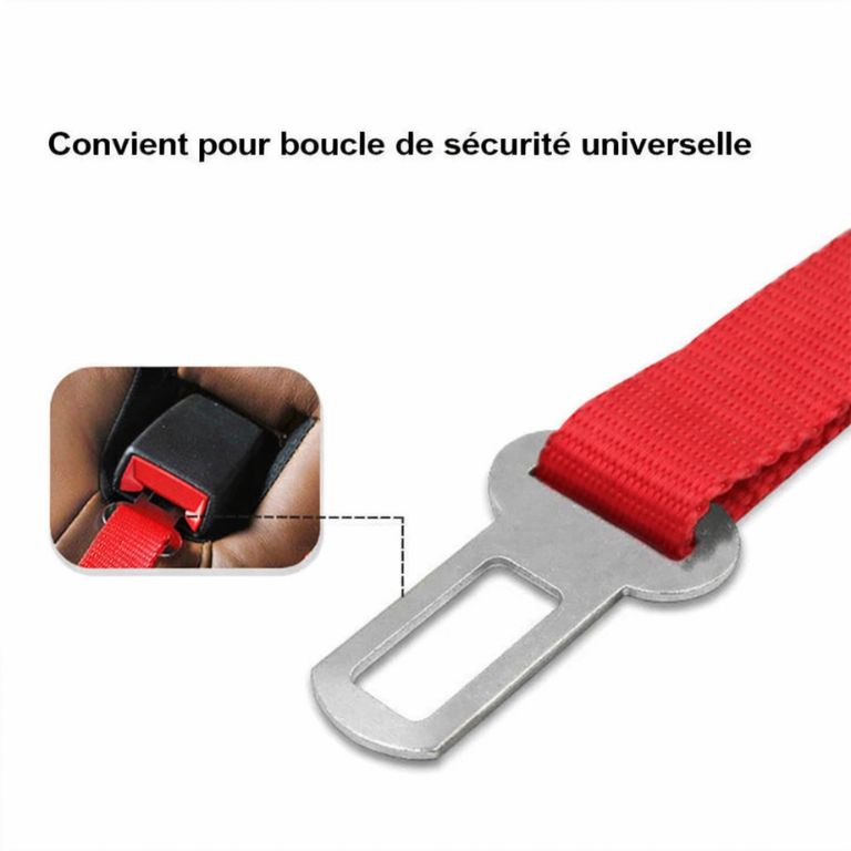 Ceinture Sécurité Chien Voiture – Attache Réglable Auto