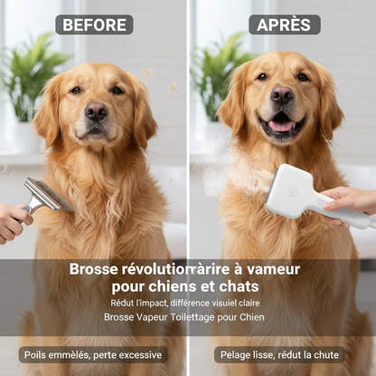 Steam Spray Dog Grooming Brush Unique Steam Brush For Dogs Luxury Grooming Brush Dog Steam Brush C