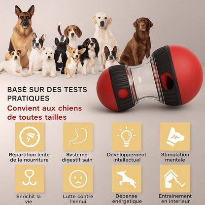 New Dog Toy For Small