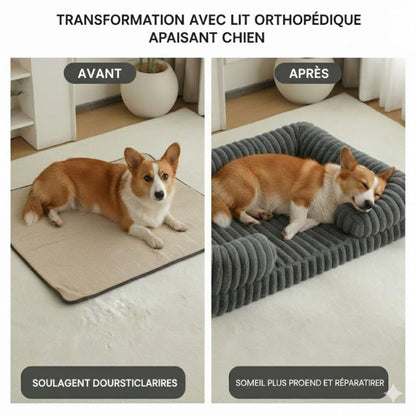 Canape Chien – Confort Élégant pour le Repos de Votre Chien