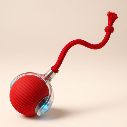 balle pour petit chien