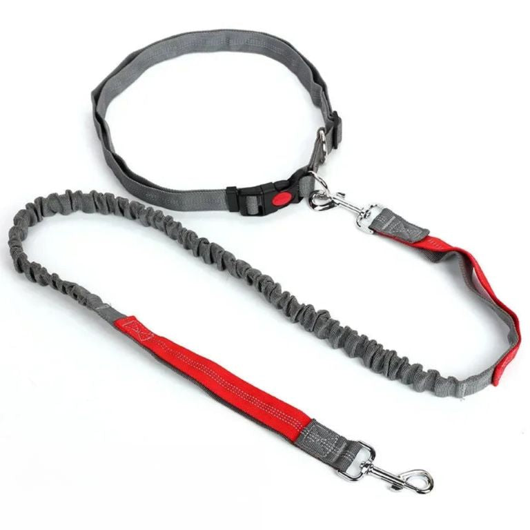 Retractable Dog Leash with Adjustable Waist Rope Hand Free Running Jogging Cycling Big Dogs Pet Elasticity Lead Pet Supplies