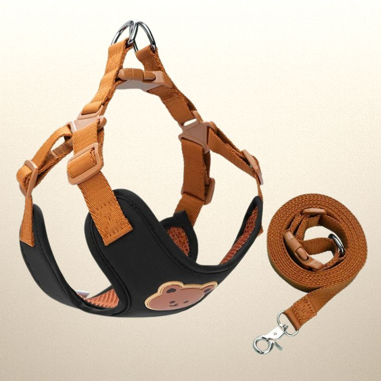 Harnais Promenade Chien – Confort et Sécurité au Quotidien