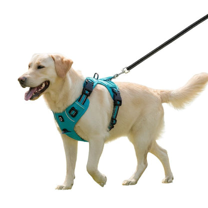 harnais chien avec poignée