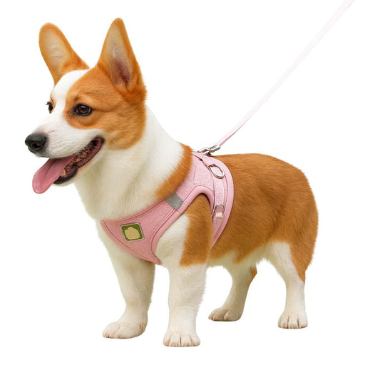 harnais chien attache laisse