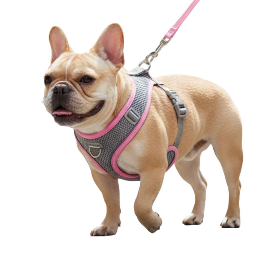 Dog Harness Leash Set for Small Dogs French Bulldog Chihuahua Pug Outdoor Walking Lead Leash Adjustable Puppy Cat Harness Vest