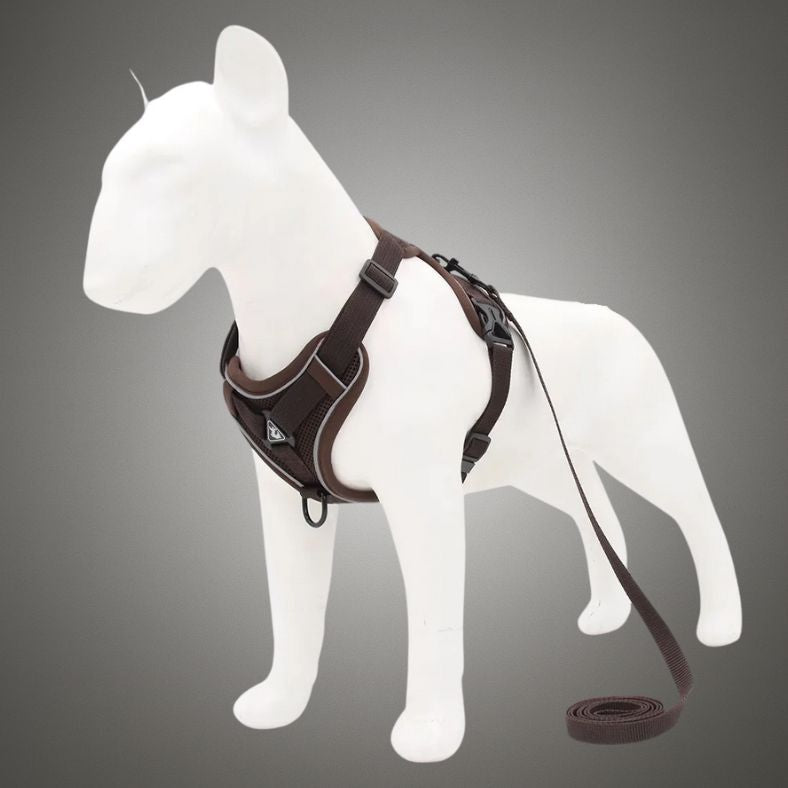 Harnais Léger pour Chien – Confort Optimal sans Gêne