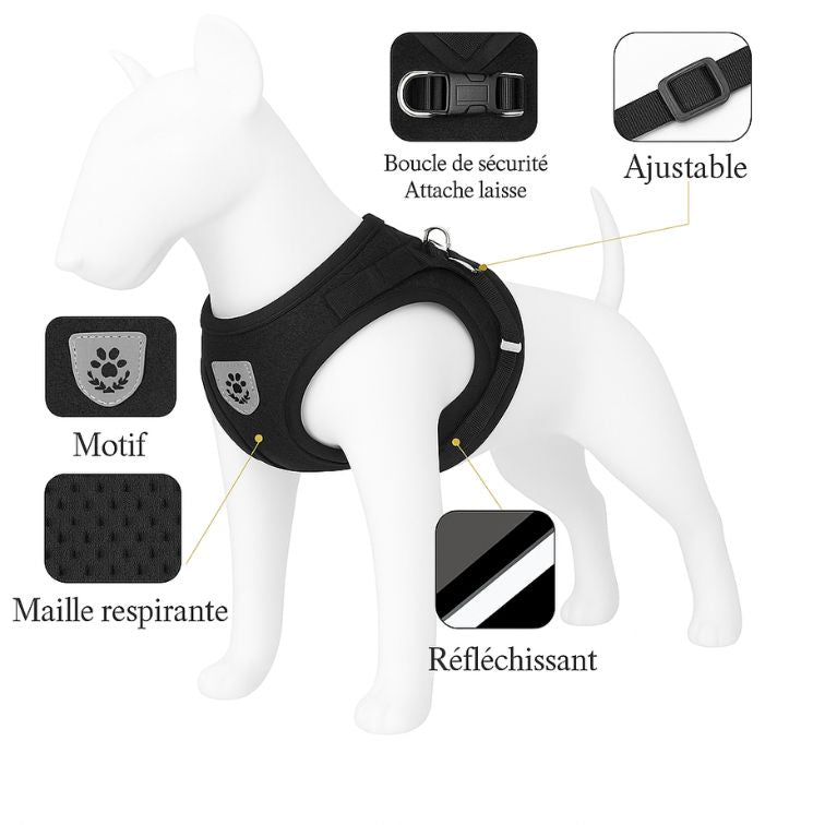 Adjustable Pet Dog Cat Harness and Leash Set Harness for Dogs Cats Vest Harness Puppy Dog Kitten Lead Cat Collar Pet Accessories