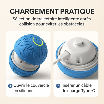 Smart Dog Toy Ball Automatic