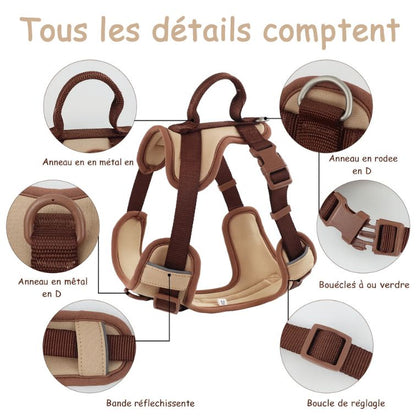 New Chocolate color luxury Dog Harness no pull for large Small dogs Adjustable Chest Strap dog harness personalized
