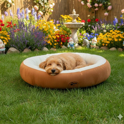 Panier pour Chien Maison – Confort Douillet à la Maison