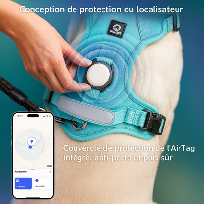 Harnais Chien Course à Pied – Confort et Performance en Running