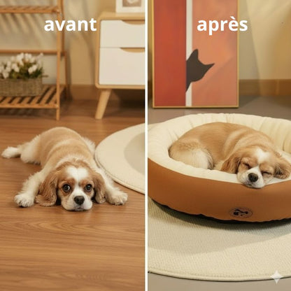 Panier pour Chien Maison – Confort Douillet à la Maison