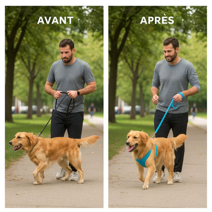 Reflective Pet Harness And Leash Set For Dog & Cat, No Pull Dog Vest Harness With Breathable Mesh