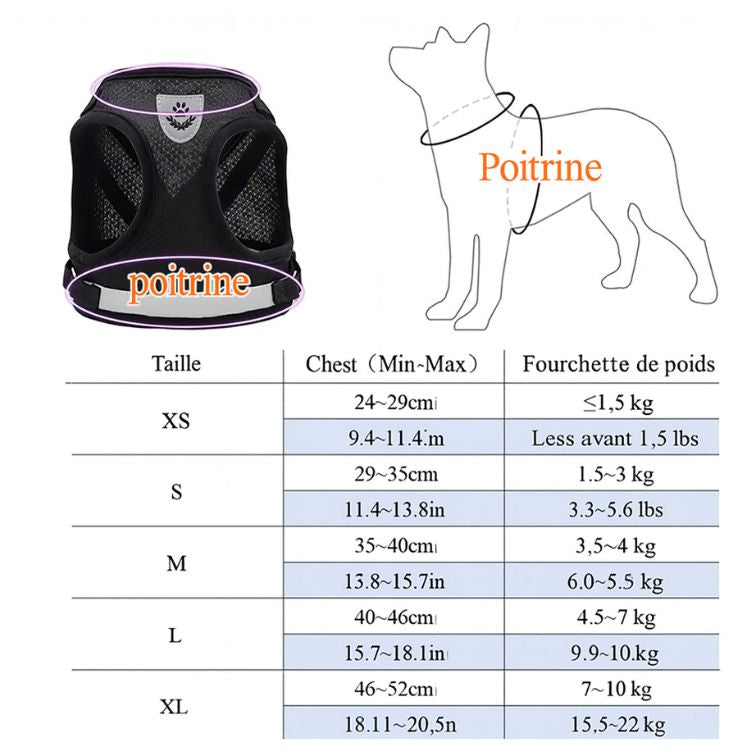 Adjustable Pet Dog Cat Harness and Leash Set Harness for Dogs Cats Vest Harness Puppy Dog Kitten Lead Cat Collar Pet Accessories