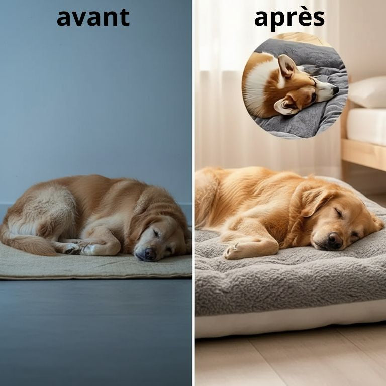 Grand Lit pour Chien – Confort Grande Taille