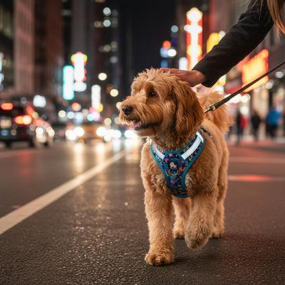 Truelove Pet Harness Soft Air Mesh Adjustable Reflective Pet Vest Small and Medium Breeds No Pull Adjustable Dog Harness TLH3016