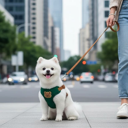 Harnais Promenade Chien – Confort et Sécurité au Quotidien