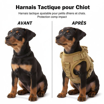 Tactical Puppy Harness Leash For Small Dogs Cats Adjustable Kitten Vest For Military Service Dog Working Training Walking