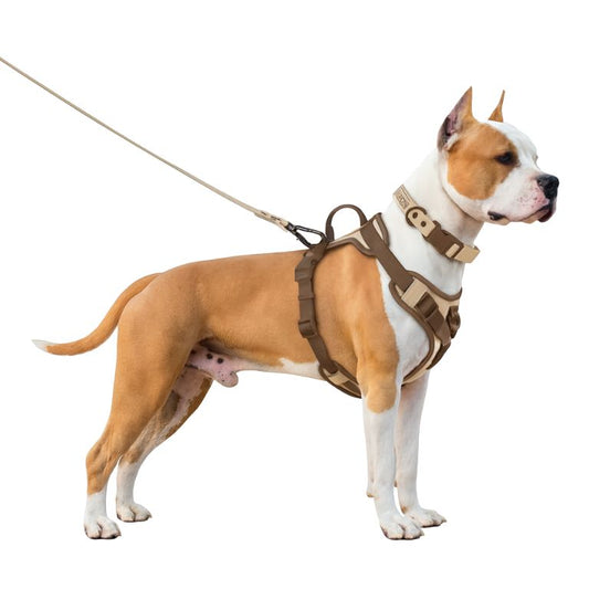 harnais chien anti traction