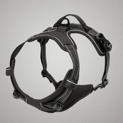 harnais chien adulte