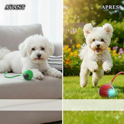 Balle pour Chien avec Corde – Jeu Résistant et Interactif