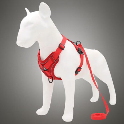 Harnais Léger pour Chien – Confort Optimal sans Gêne