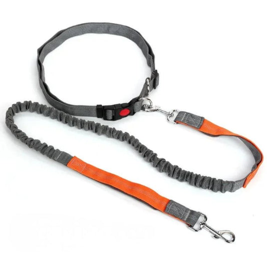 Retractable Dog Leash with Adjustable Waist Rope Hand Free Running Jogging Cycling Big Dogs Pet Elasticity Lead Pet Supplies