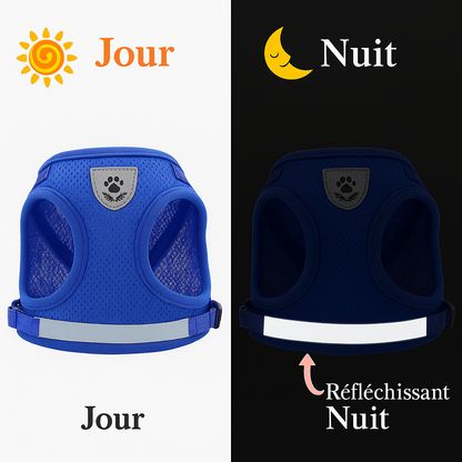 Adjustable Pet Dog Cat Harness and Leash Set Harness for Dogs Cats Vest Harness Puppy Dog Kitten Lead Cat Collar Pet Accessories