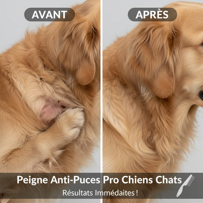 Peigne Anti Puces Chien – Élimination Efficace des Parasites