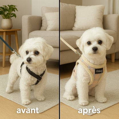 Winter Warm Dog Harness Vest Soft Padded Pet Chihuahua Puppy Harness Leash Set Adjustable For Small Medium Dogs French Bulldog