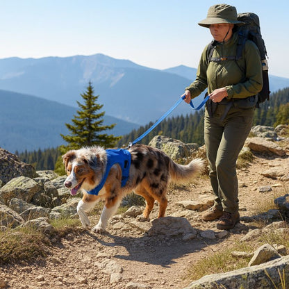 Adjustable Pet Dog Cat Harness and Leash Set Harness for Dogs Cats Vest Harness Puppy Dog Kitten Lead Cat Collar Pet Accessories