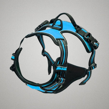 harnais chien facile à enfiler