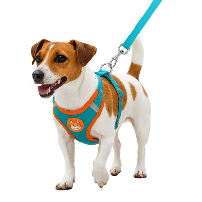 harnais chien anti-étranglement