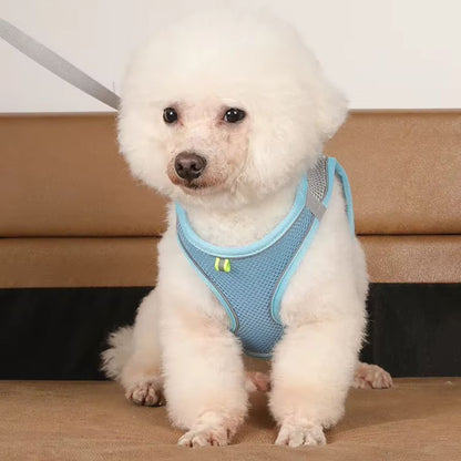 Dog Harness Leash Set for Small Dogs French Bulldog Chihuahua Pug Outdoor Walking Lead Leash Adjustable Puppy Cat Harness Vest