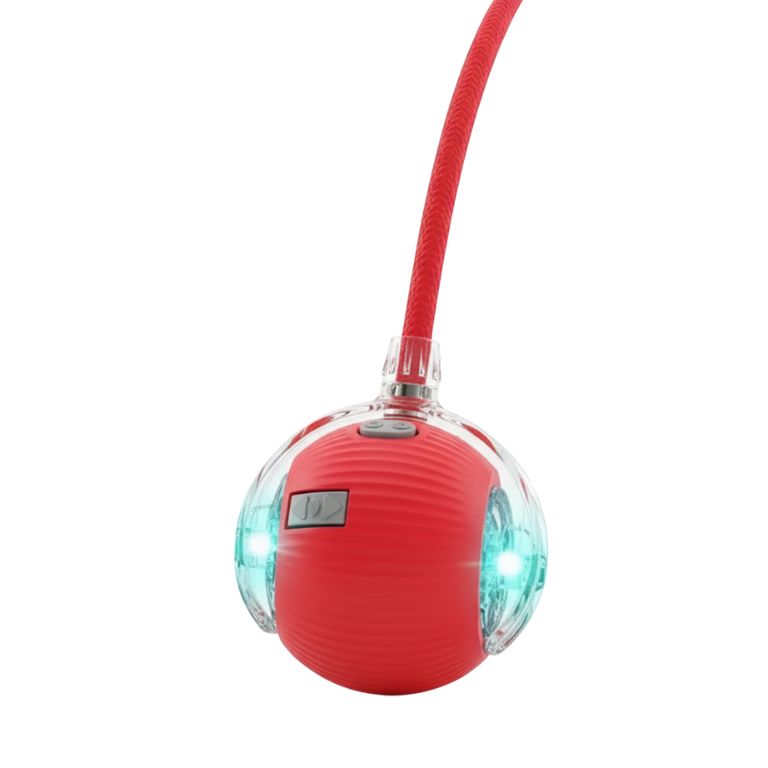 Balle pour Chien avec Corde – Jeu Résistant et Interactif