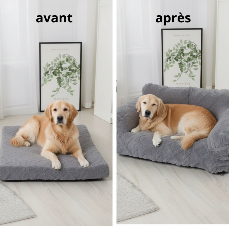 canape pour chien