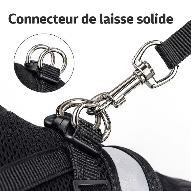 Adjustable Pet Dog Cat Harness and Leash Set Harness for Dogs Cats Vest Harness Puppy Dog Kitten Lead Cat Collar Pet Accessories