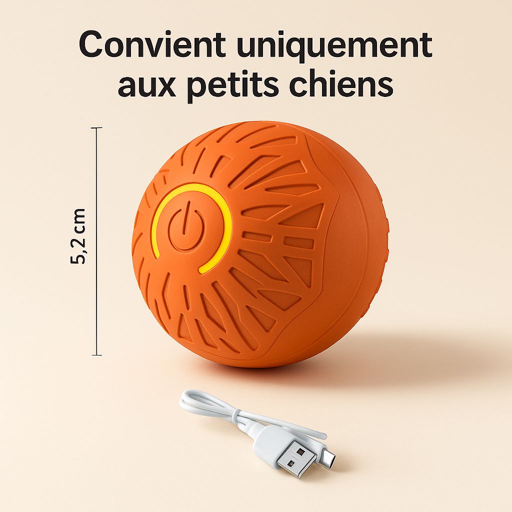 Smart Dog Toy Ball Automatic