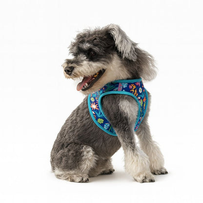 Truelove Pet Harness Soft Air Mesh Adjustable Reflective Pet Vest Small and Medium Breeds No Pull Adjustable Dog Harness TLH3016