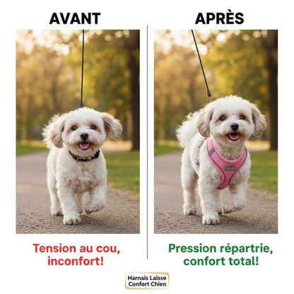 Dog Harness Leash Set for Small Dogs French Bulldog Chihuahua Pug Outdoor Walking Lead Leash Adjustable Puppy Cat Harness Vest