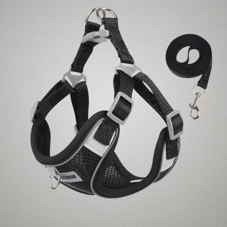 Dog Harness Leash Set for Small Medium Dog Cat Chest Strap Reflective Dog Clothes Vest Set Chihuahua Outdoor Walking Pet Supplie