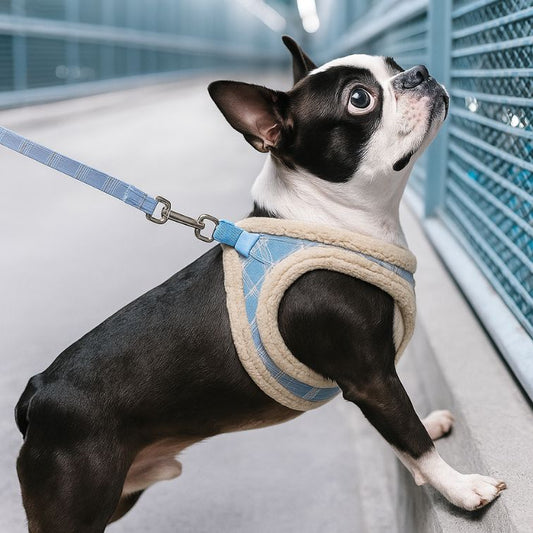 Winter Warm Dog Harness Vest Soft Padded Pet Chihuahua Puppy Harness Leash Set Adjustable For Small Medium Dogs French Bulldog