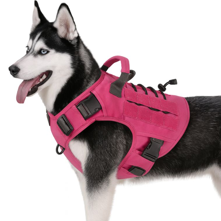 Harnais Chien Guide – Contrôle, Sécurité et Accompagnement