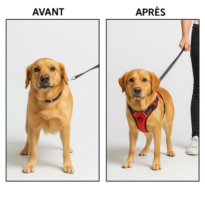 Saddle Dog Harness Reflective Adjustable Pet Harness No Pull Walking Training Small Medium Large Big Dogs Chest Strap Product