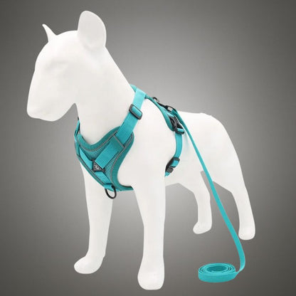 harnais chien anti-fugue