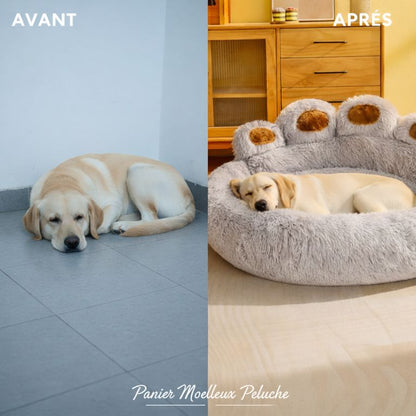 panier en tissu pour chien