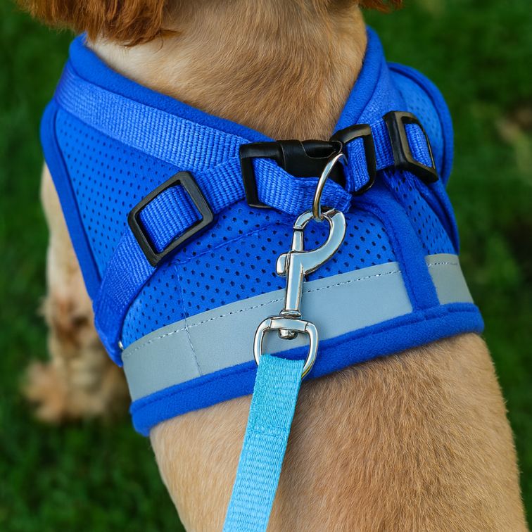 Adjustable Pet Dog Cat Harness and Leash Set Harness for Dogs Cats Vest Harness Puppy Dog Kitten Lead Cat Collar Pet Accessories