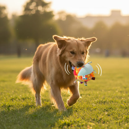 petite balle pour chien​